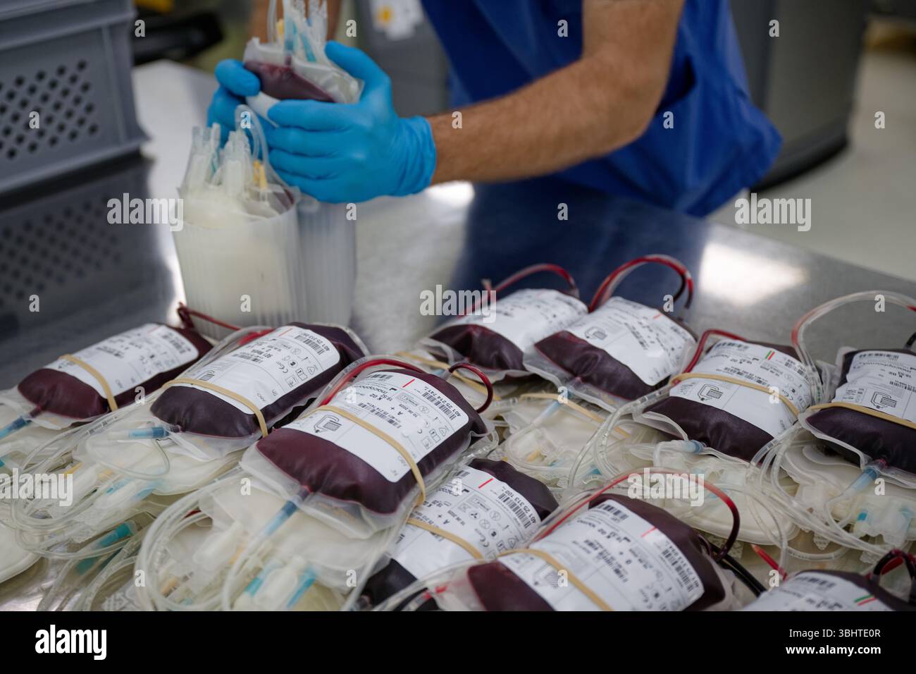 Hagen, Deutschland. Juni 2025. Ein Mitarbeiter bereitet Blutspendebeutel für die Zentrifugation im Labor des DRK-Blutspendedienstes vor. Quelle: Henning Kaiser/dpa/Alamy Live News Stockfoto