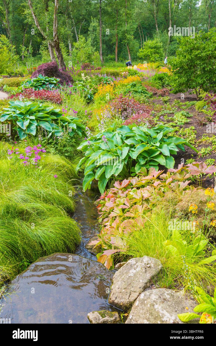 Der Fluss fließt durch den chinesischen Wassergarten bei RHS Garden Bridgewater Stockfoto