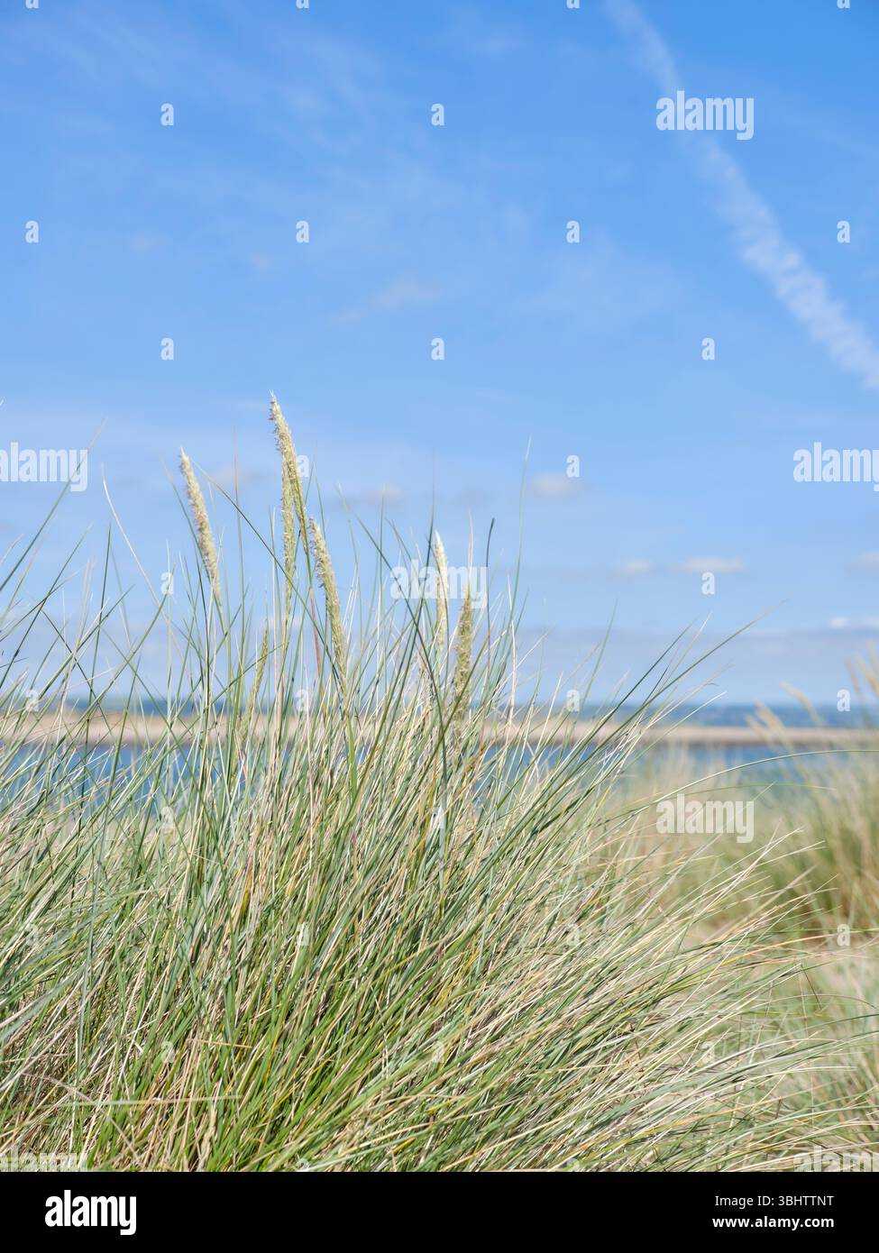 Foto von Guy Harrop. Bild von South West Coast Path, Copyright Guy harrop info@guyharrop.com 07866 464282 Stockfoto