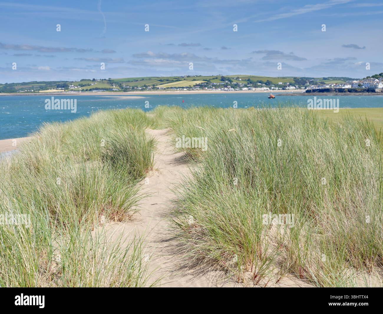 Der südwestliche Küstenweg durch die Dünen bei Appledore in North Devon, Großbritannien Stockfoto