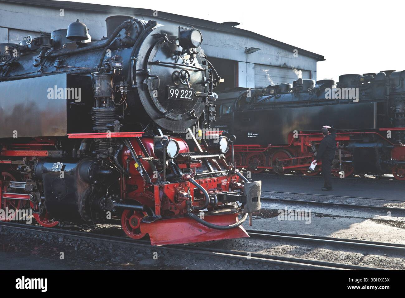 Dampflokomotiven im Maschinenschuppen, Harzer Schmalspurbahnen, kurz HSB, Bahnhof Wernigerode, Deutschland, Sachsen-Anhalt, Harz, Wernigerode Stockfoto