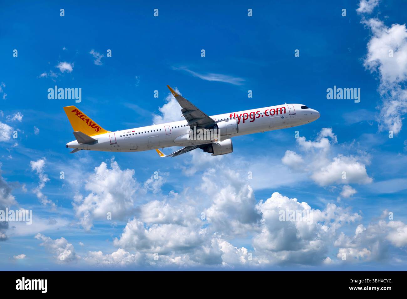 Frankfurt, Deutschland, 11. juni 2025 – Airbus A321neo von Pegasus Airlines startet bei Tageslicht – modernes Mittelklasse-Flugzeug über bewölktem Himmel. Der Airbu Stockfoto