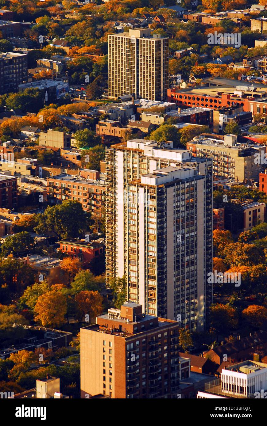 Ein Blick aus der Vogelperspektive auf die North Side von Chicago zeigt an einem sonnigen Herbsttag hohe Apartmenthäuser, umgeben von Herbstlaub Stockfoto