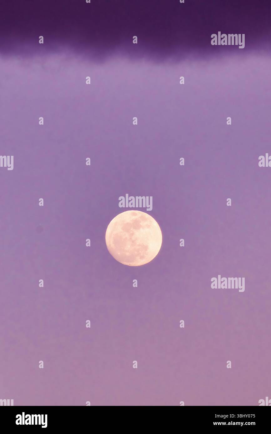 Strahlend rosa Himmel, wenn der Erdbeer-Mond aufsteigt. Stockfoto