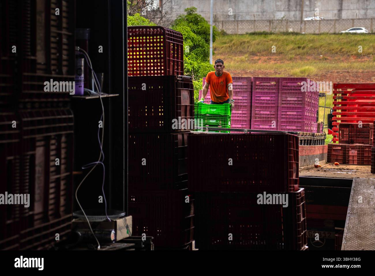 Marilia, Sao Paulo, Brasilien, 24. April 2025. Ein Arbeiter entlädt Plastikkisten voller Tomaten aus einem LKW in einem Obst- und Gemüselager im Cit Stockfoto