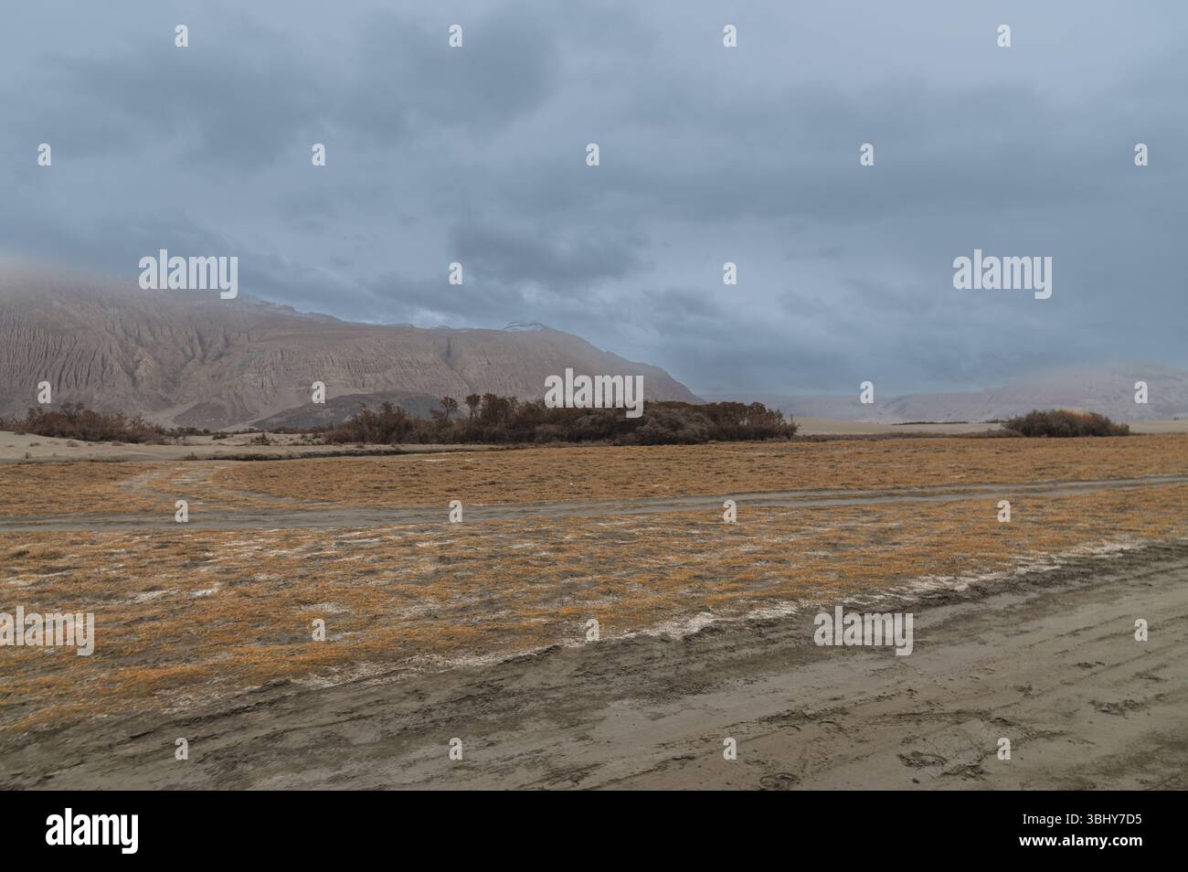Hunder Desert mit weißem Sand, gelber Vegetation, Morning Mist und Himalaya Peaks Stockfoto
