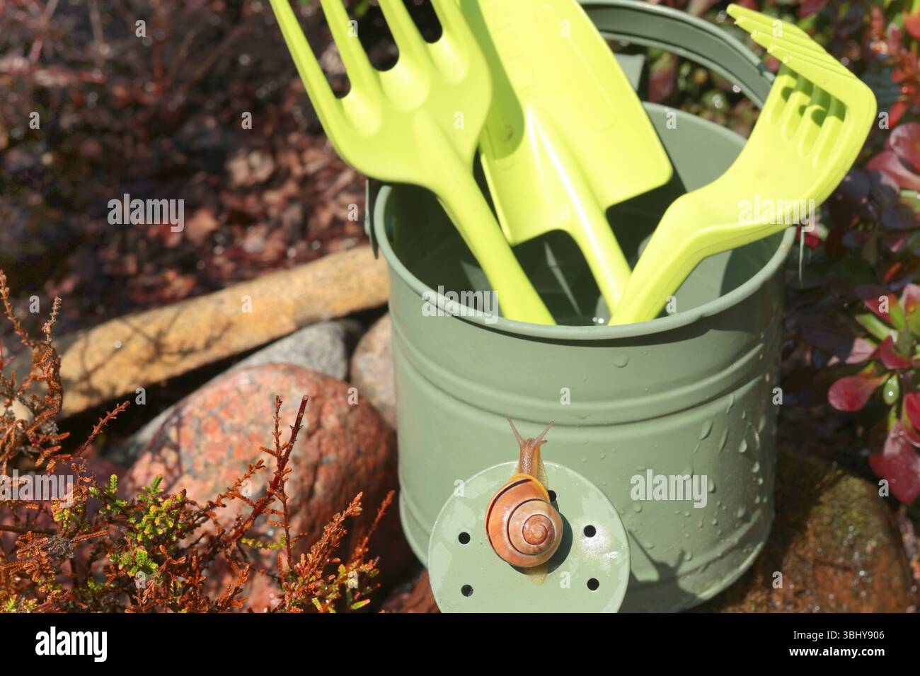 Die Schnecke kriecht auf der Gießkanne. Garten und Natur. Schädlinge und Werkzeuge. Stockfoto
