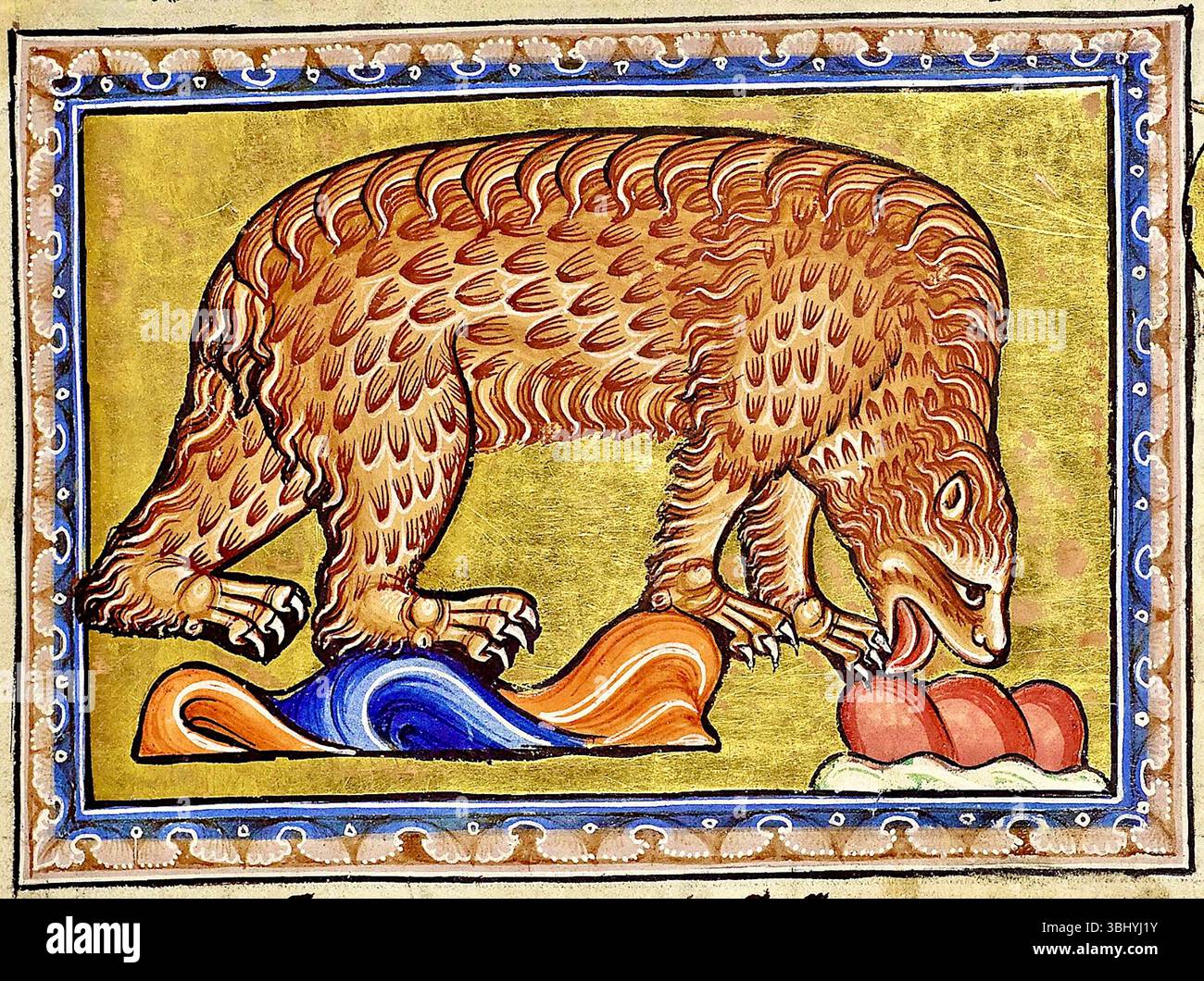Aberdeen Bestiary - Bär - 1542 Stockfoto