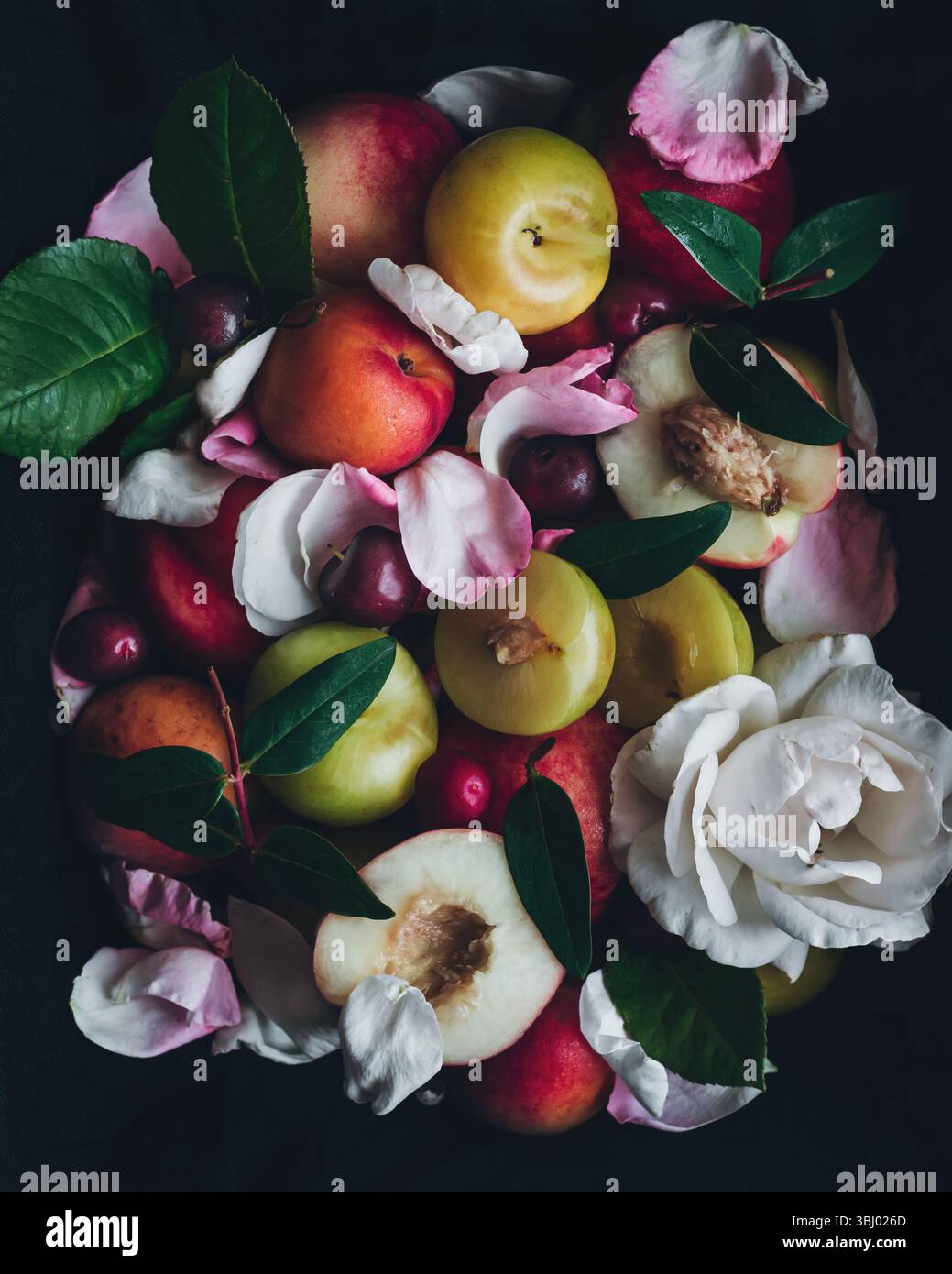 Eine lebendige Auswahl an bunten Früchten, darunter Pfirsiche, Pflaumen und Kirschen, ist kunstvoll mit zarten Rosenblättern und grünen Blättern, Kreati angeordnet Stockfoto