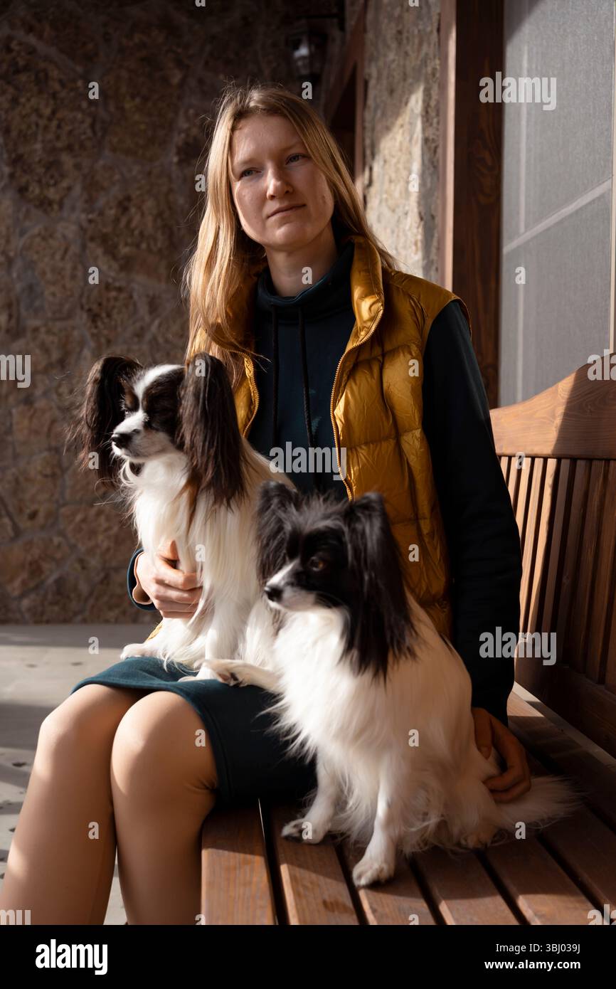 Eine Frau mit gelber Weste sitzt auf einer Holzbank, begleitet von zwei reinrassigen Papillonhunden. Die Hunde zeigen ihre ausgeprägten großen Ohren und s Stockfoto
