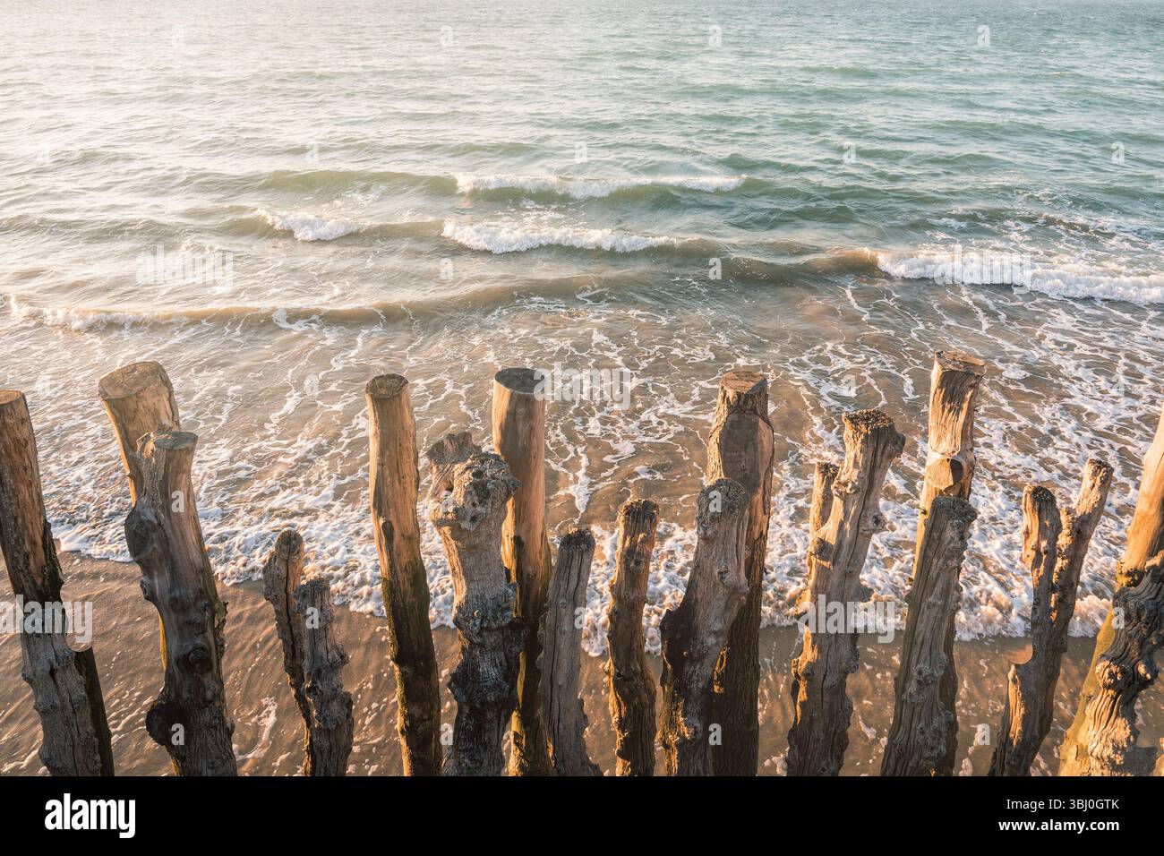 Hölzerne Wellenbrecher am Strand von Saint-Malo, in sanften Pastelltönen gehalten. Sanfte Wellen und warmes Licht schaffen eine ruhige, künstlerische Atmosphäre Stockfoto