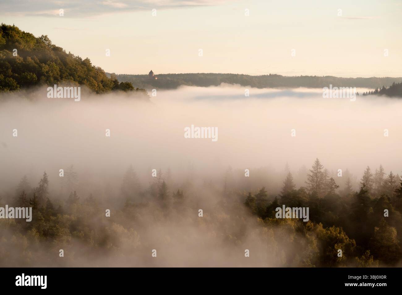 Morgennebel über dem Tal des Gauja-Flusses in Sigulda, mit Schloss Turaida in der Ferne leicht sichtbar Stockfoto