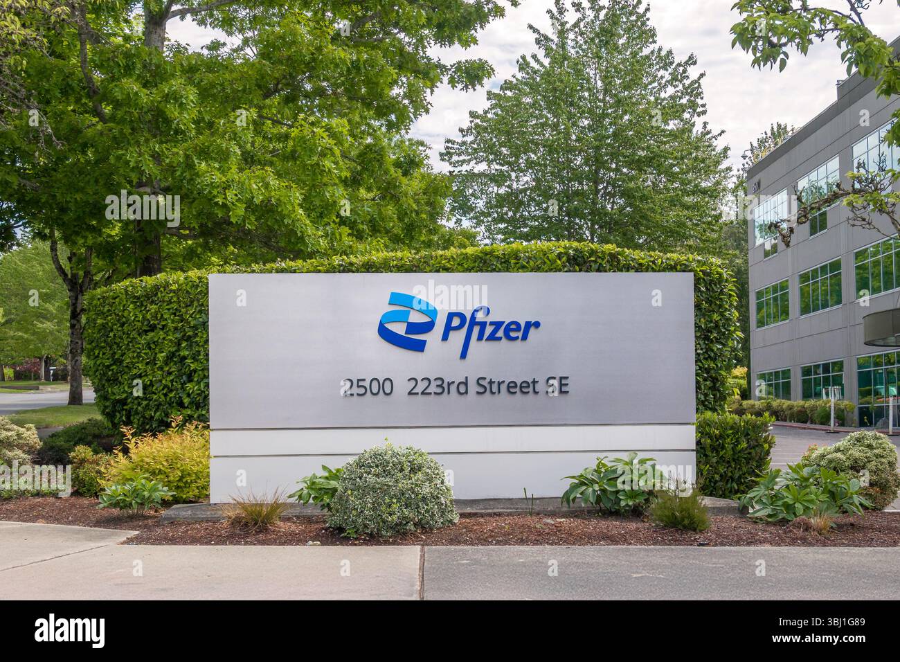 BOTHELL, WA, USA, 25. MAI 2025: Außenansicht und Markenlogo von Pfizer Regional Offices. Stockfoto