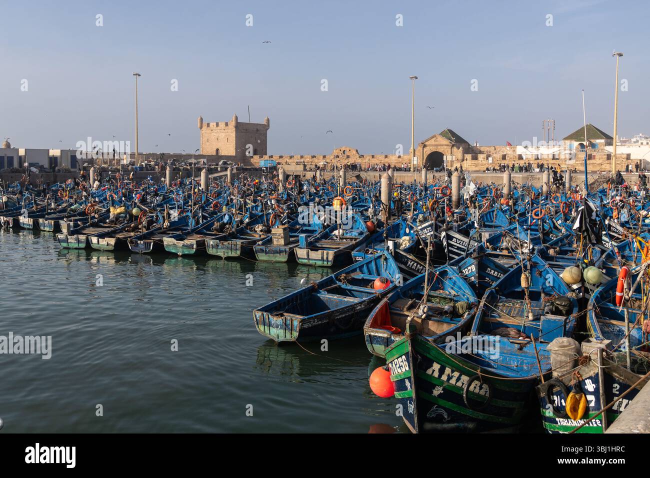 Essaouira, Marokko - 21. Februar 2025: Traditionelle Fischerboote liegen im Hafen von Essaouira mit dem Turm der Festung Mogador in Mor vor Anker Stockfoto