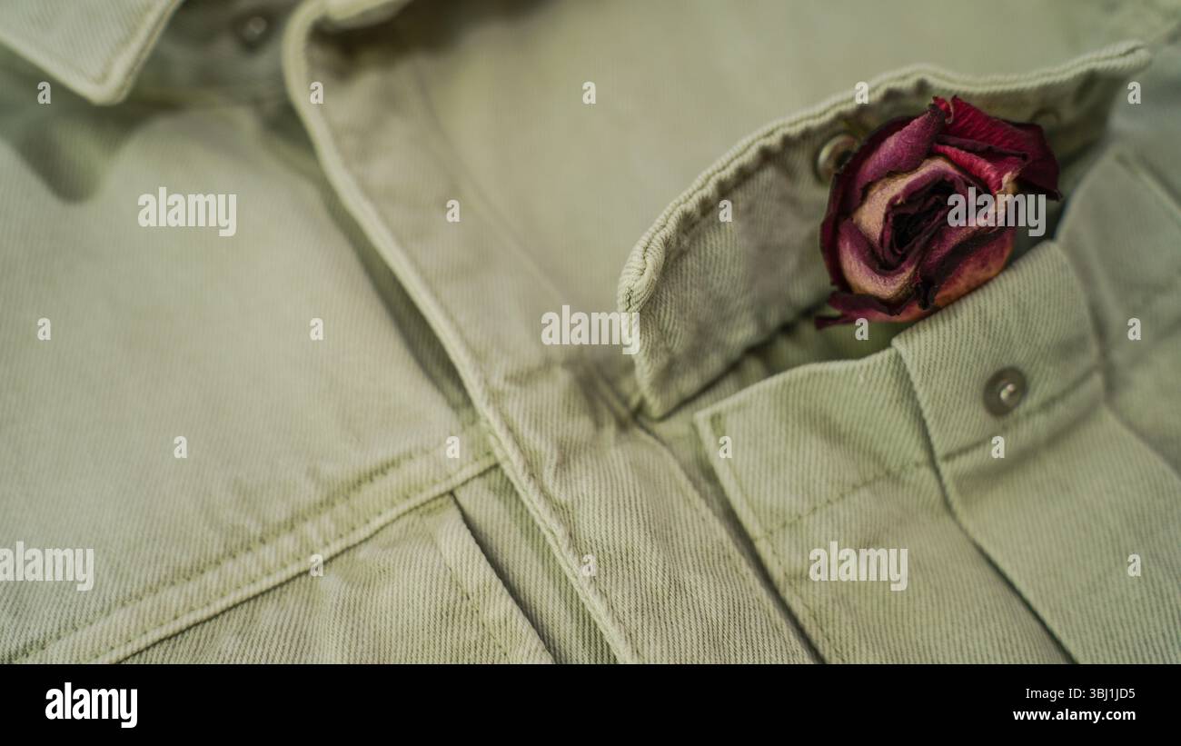 Getrocknete Rosenblätter in der Tasche – Symbol für verlorene Liebe und Nostalgie Stockfoto
