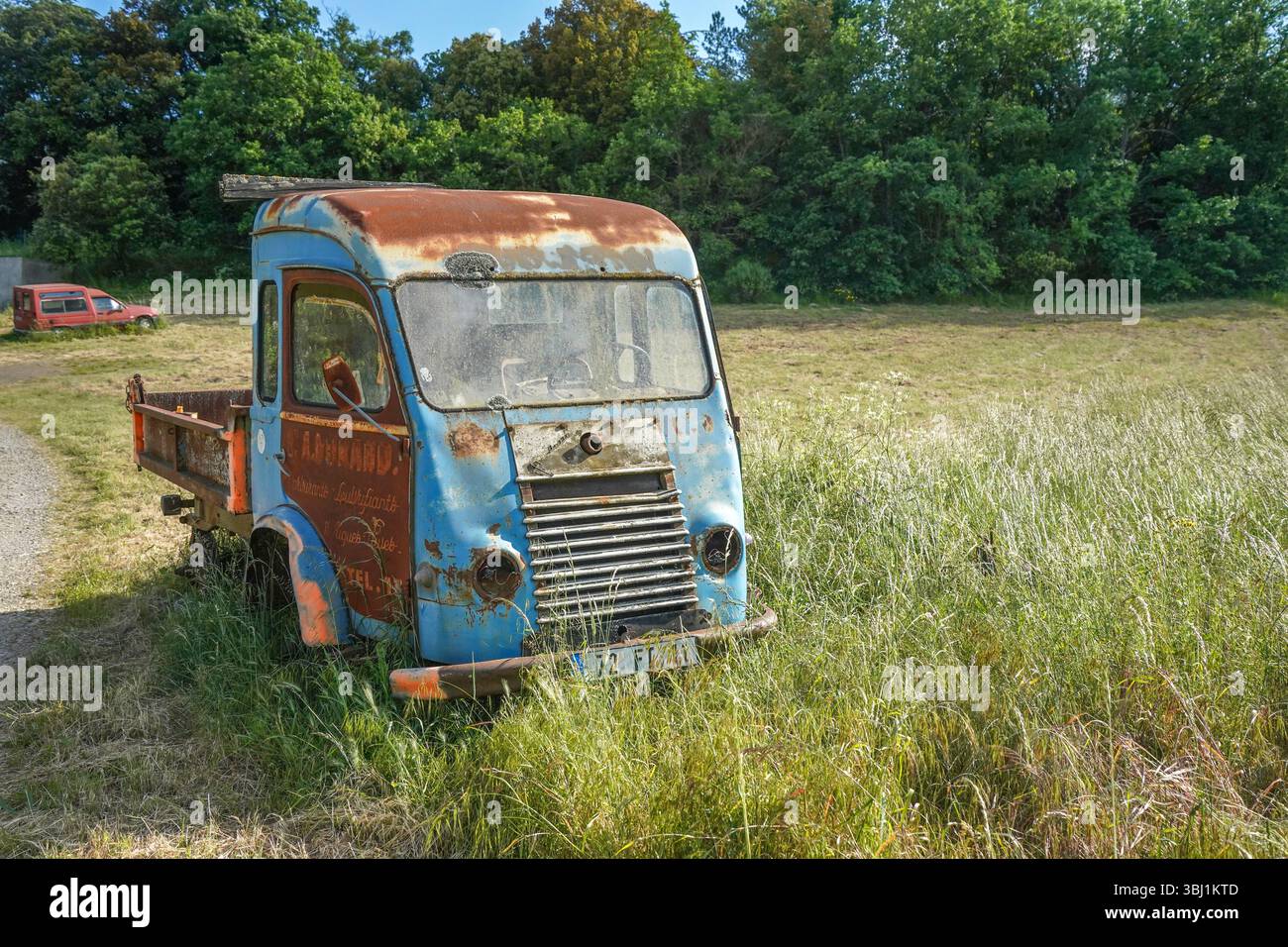 Verlassenes Wrack, kleiner Truck Goélette Renault oder Fahrzeug auf dem Land der Region Aude in Frankreich. Stockfoto