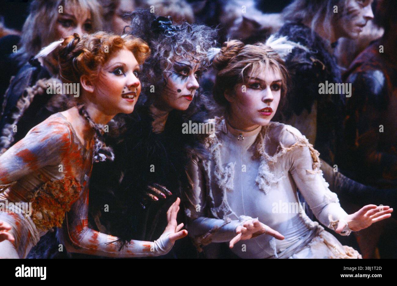 Originalbesetzung: l-r: Bonnie Langford (Rumpleteazer), Elaine Paige (Grizabella), Finola Hughes (Victoria) in CATS AT at the New London Theatre, London 11/05/1981, basierend auf T. S. Eliots „Old Possum's Book of Practical Cats“ Komponist: Andrew Lloyd Webber Design: John Napier Beleuchtung: David Hersey Choreographie: Gillian Lynne Regisseur Trevor Nunn Stockfoto
