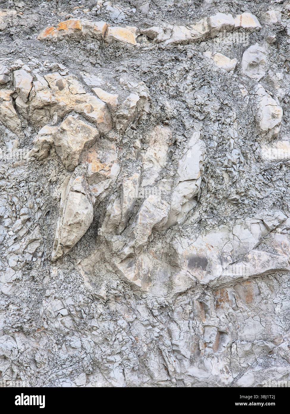 Steinstruktur. Steine am Meer. Interessante Felsstruktur an der Küste. Nahaufnahme - Smartphone-aufgenommenes Stockfoto