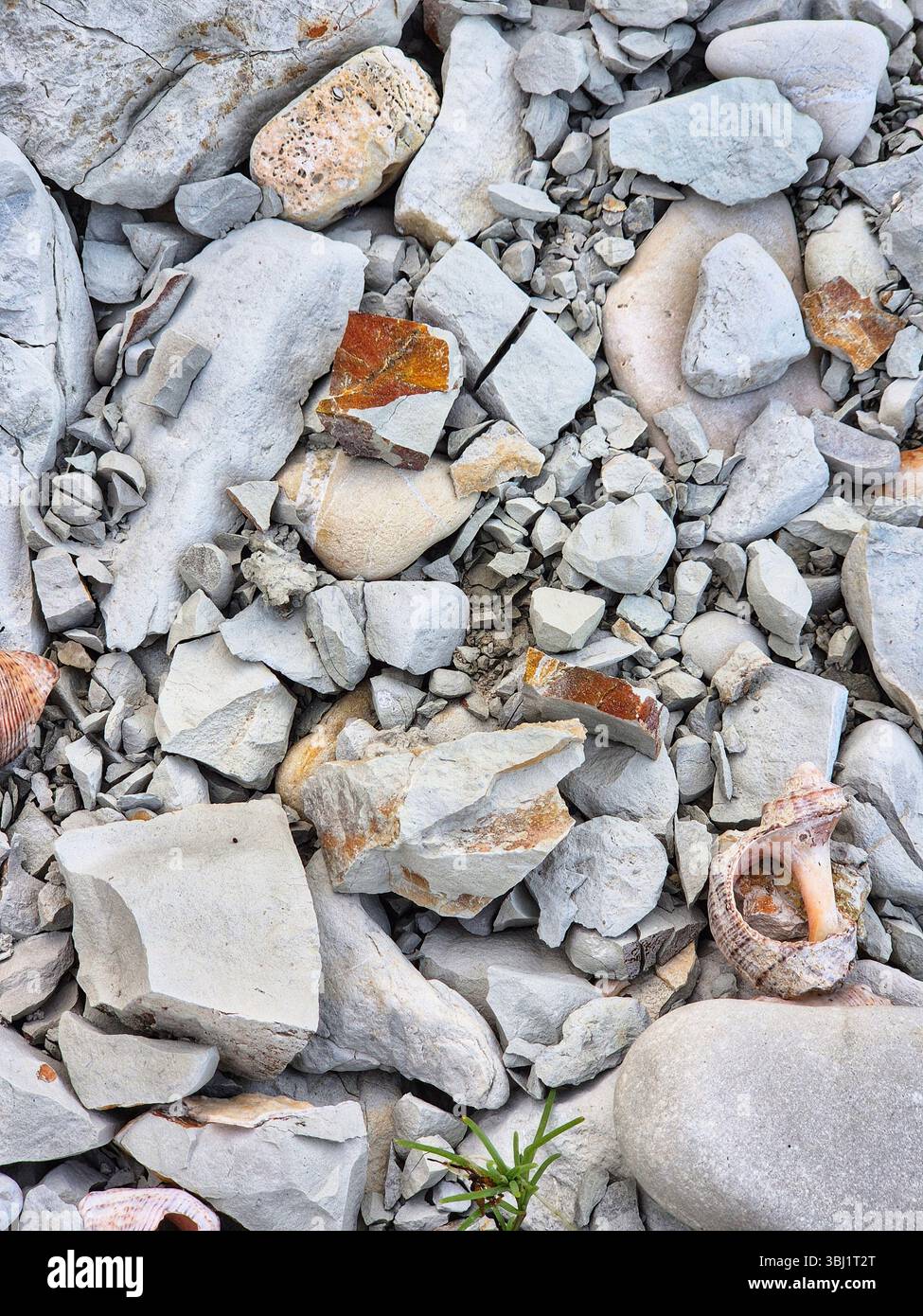 Streuung von Steinen. Steine an der Küste. Weiße Steine. Steinstruktur. Meer. Sommer - Smartphone-aufgenommenes Stockfoto
