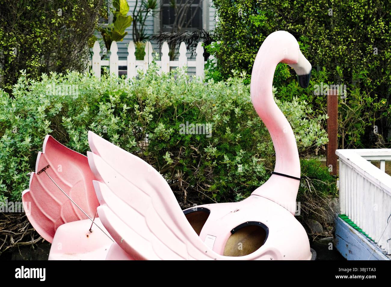 Ein pinkfarbenes Schwan-Paddelboot liegt neben üppigem Grün und einem weißen Zaun in den Kanälen von Los Angeles. Stockfoto