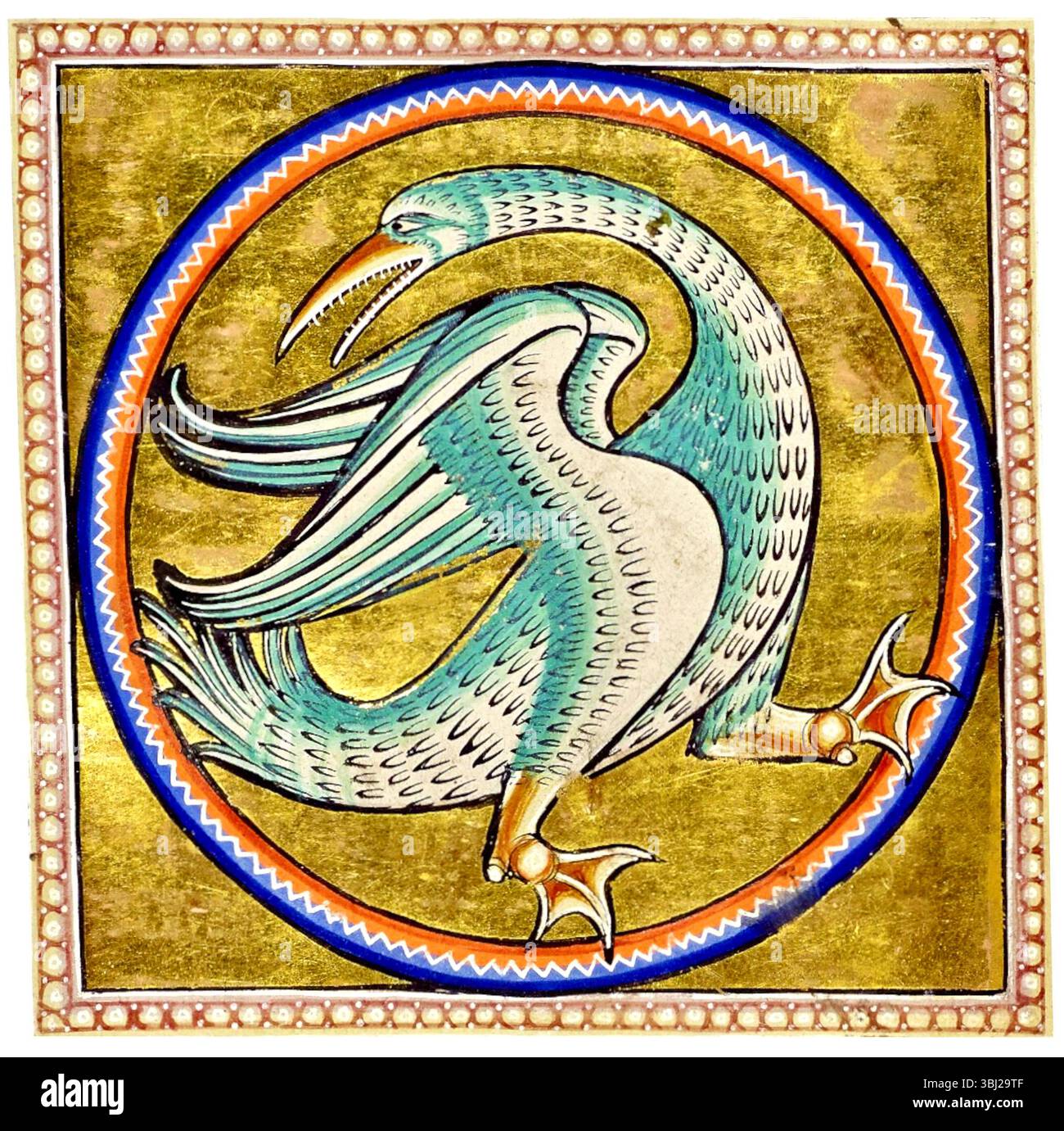Aberdeen Bestiary - Blauer Vogel mit Webberfüßen, möglicherweise ein Halcyon - 1542 Stockfoto