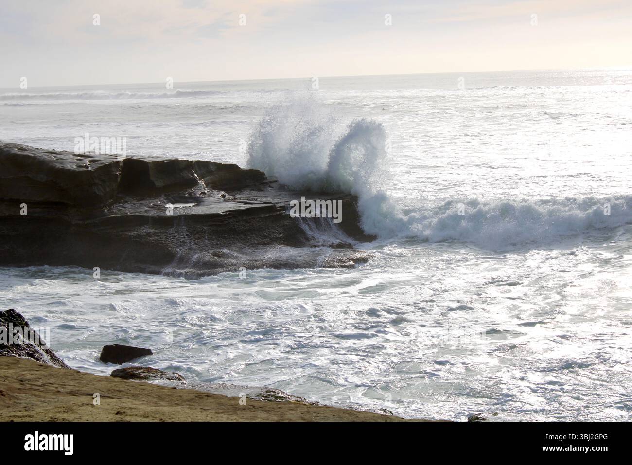 Robot poygasi porno Qaynonani sikishadi