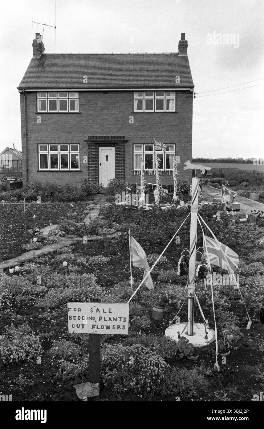 Maypole UK. Barwick in Elmet, West Yorkshire, Bankfeiertag 1970 Ein örtlicher Gärtner zeigt in seinem Vorgarten Replik-Maypoles zusammen mit dem Verkaufsschild für Bettenpflanzen und Schnittblumen. Barwick in Elmet, West Yorkshire, England 1972 HOMER SYKES Stockfoto