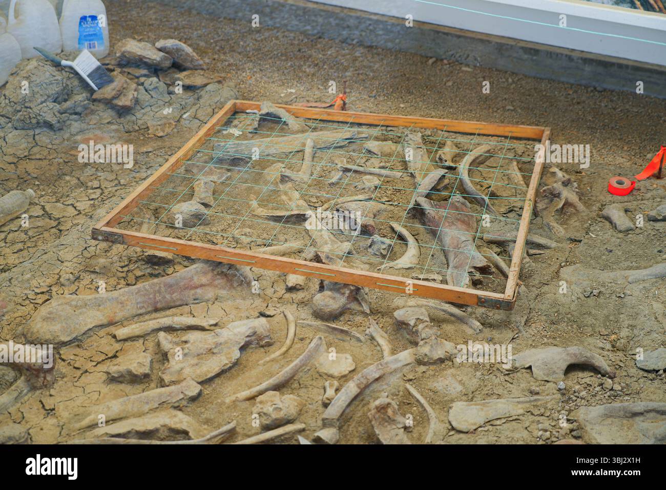 Grabstätte und Fossilienausstellung im Dinosaur Provincial Park, Alberta, Kanada Stockfoto