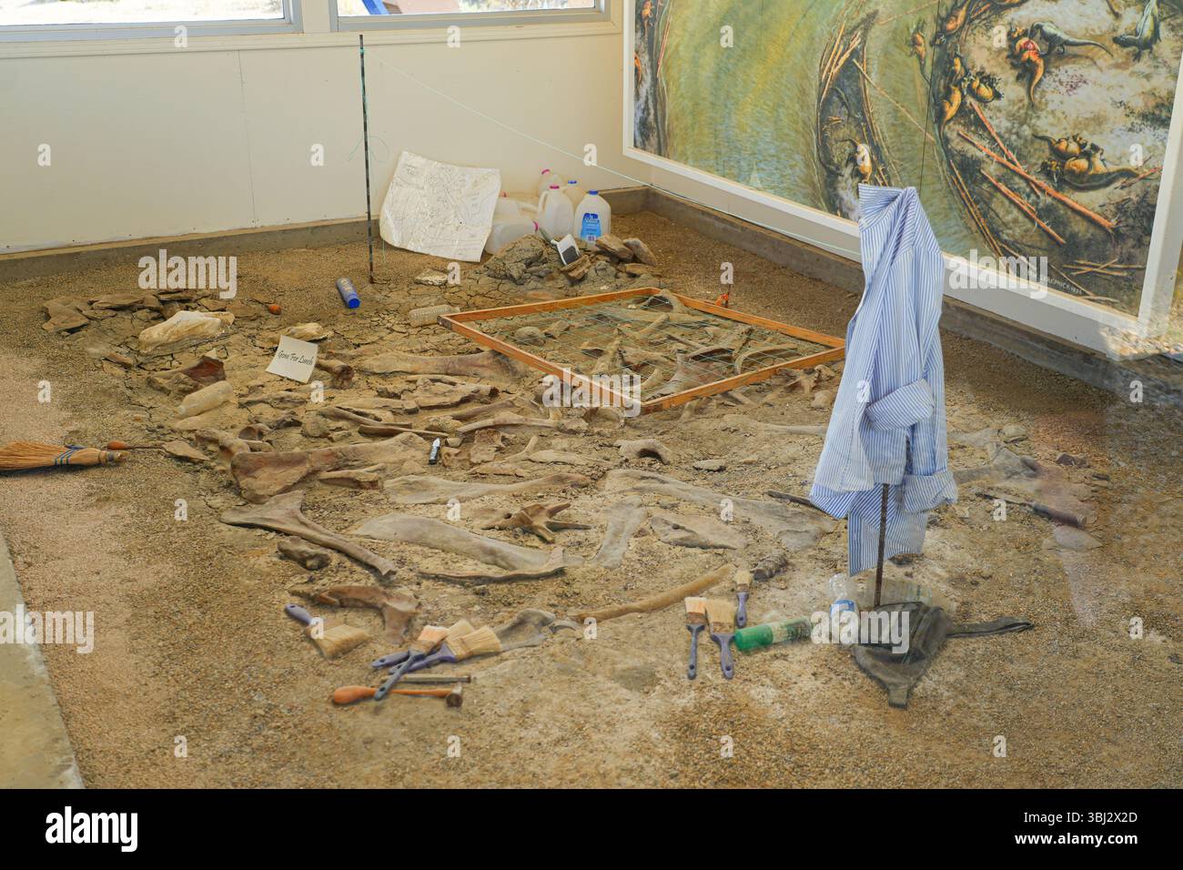 Grabstätte und Fossilienausstellung im Dinosaur Provincial Park, Alberta, Kanada Stockfoto