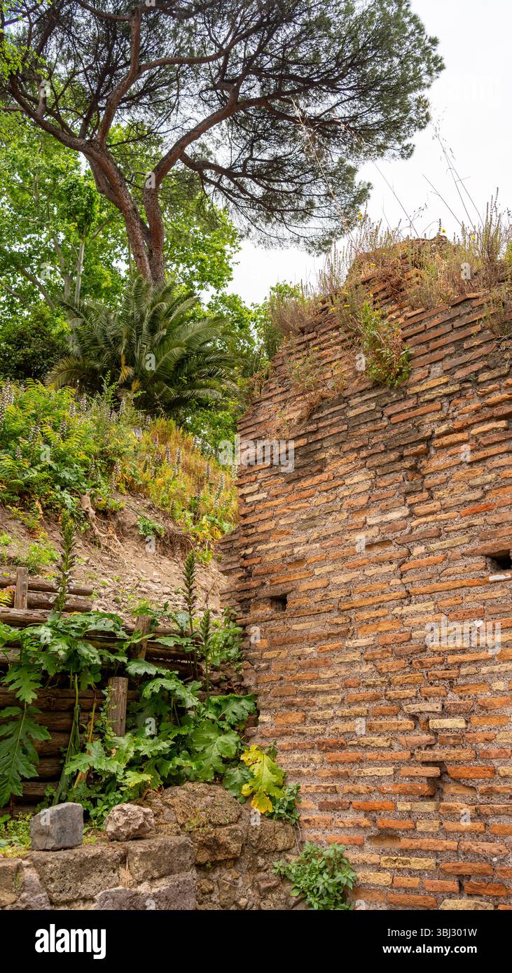 Alte römische Backsteinmauer in Rom, Italien Stockfoto