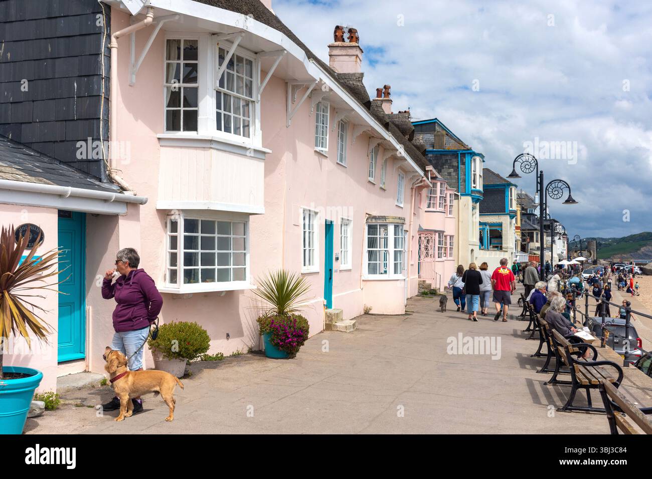 Bunte Häuser, Marine Parade, Sandstrand, Lyme Regis, Dorset, England, Vereinigtes Königreich Stockfoto