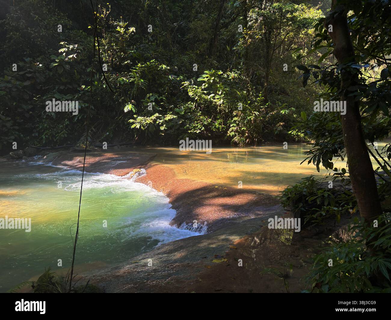 Calciumcarbonat-Regale bildeten sich im Tenaru River unterhalb des Wasserfalls in der Nähe von Honiara, Guadalcanal, Salomonen - Smartphone-aufgenommenes Stockfoto