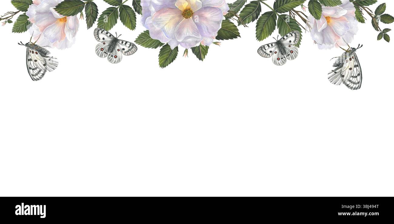 Hagebuttenblüten, Äste und Blätter. Horizontaler, nahtloser Rand mit Aquarell. Illustration isoliert auf weißem Hintergrund für Stoff, Textil, Drucke Stockfoto