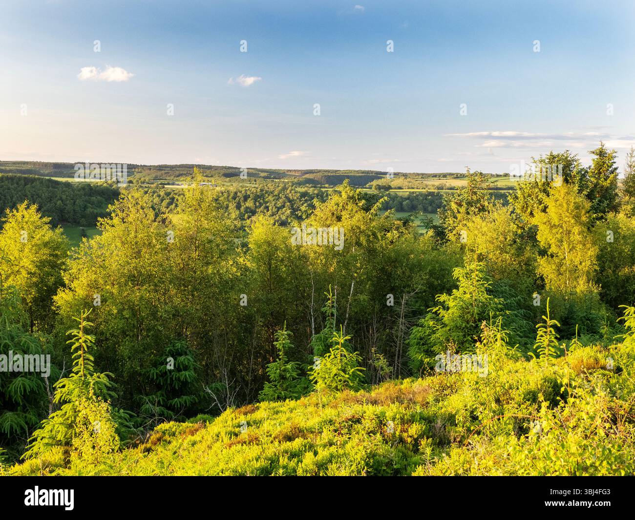 Blick über Troutdale vom Wykeham Forest, Yorkshire, Großbritannien. Stockfoto