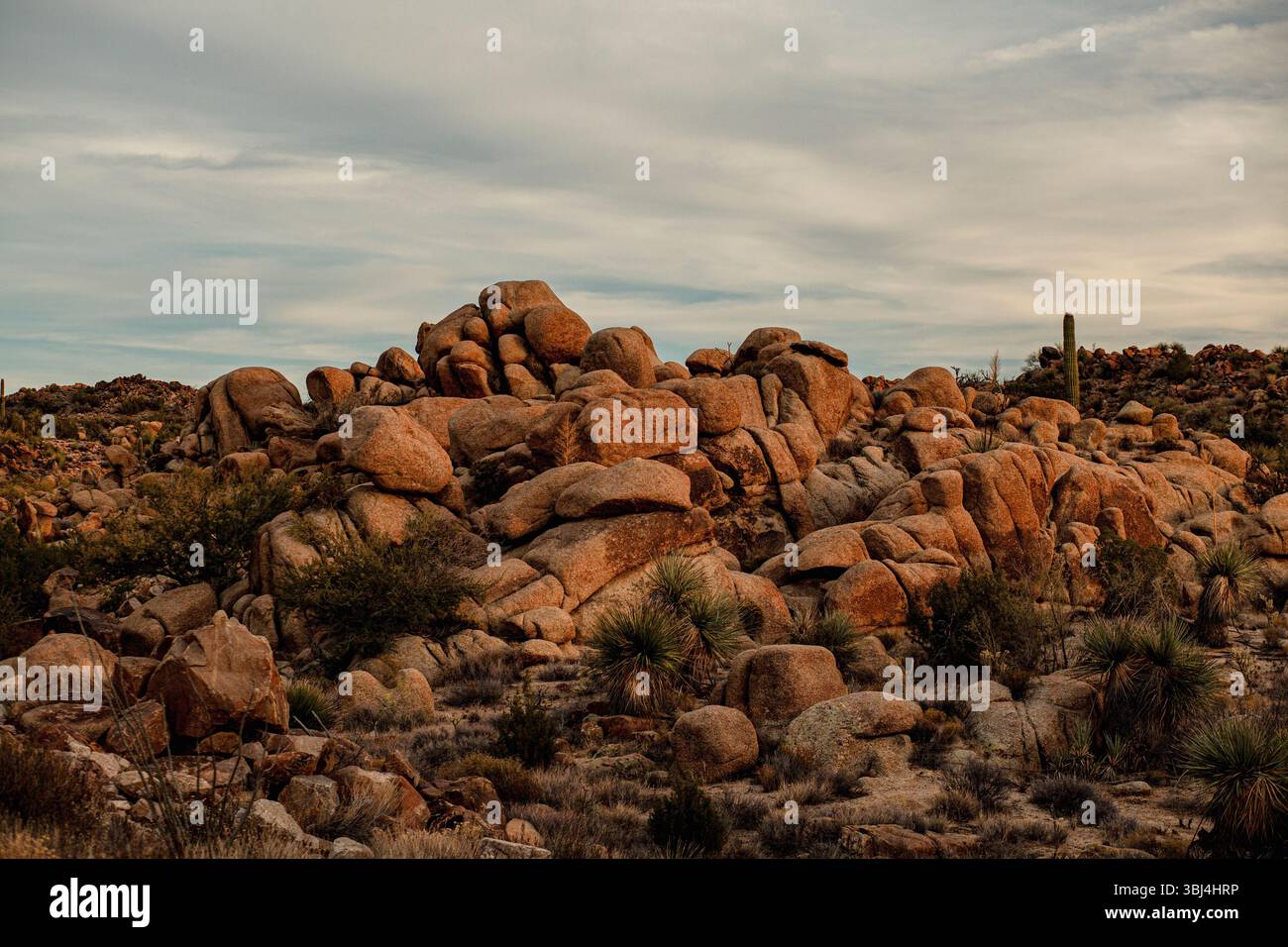 Abgerundete außerirdische Felsformationen im letzten Licht Stockfoto