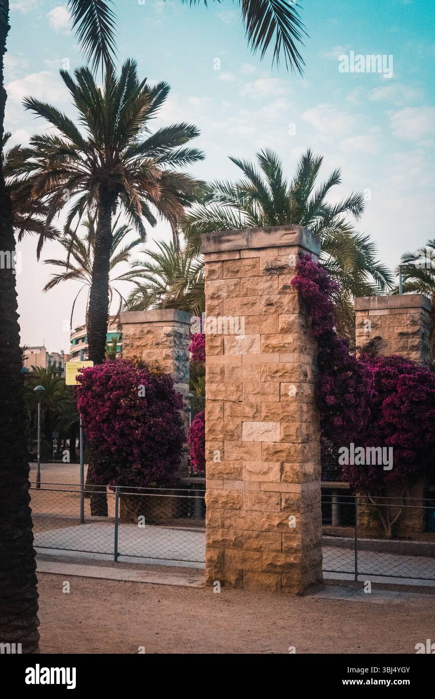 Barcelona Sommerstraßen Stockfoto