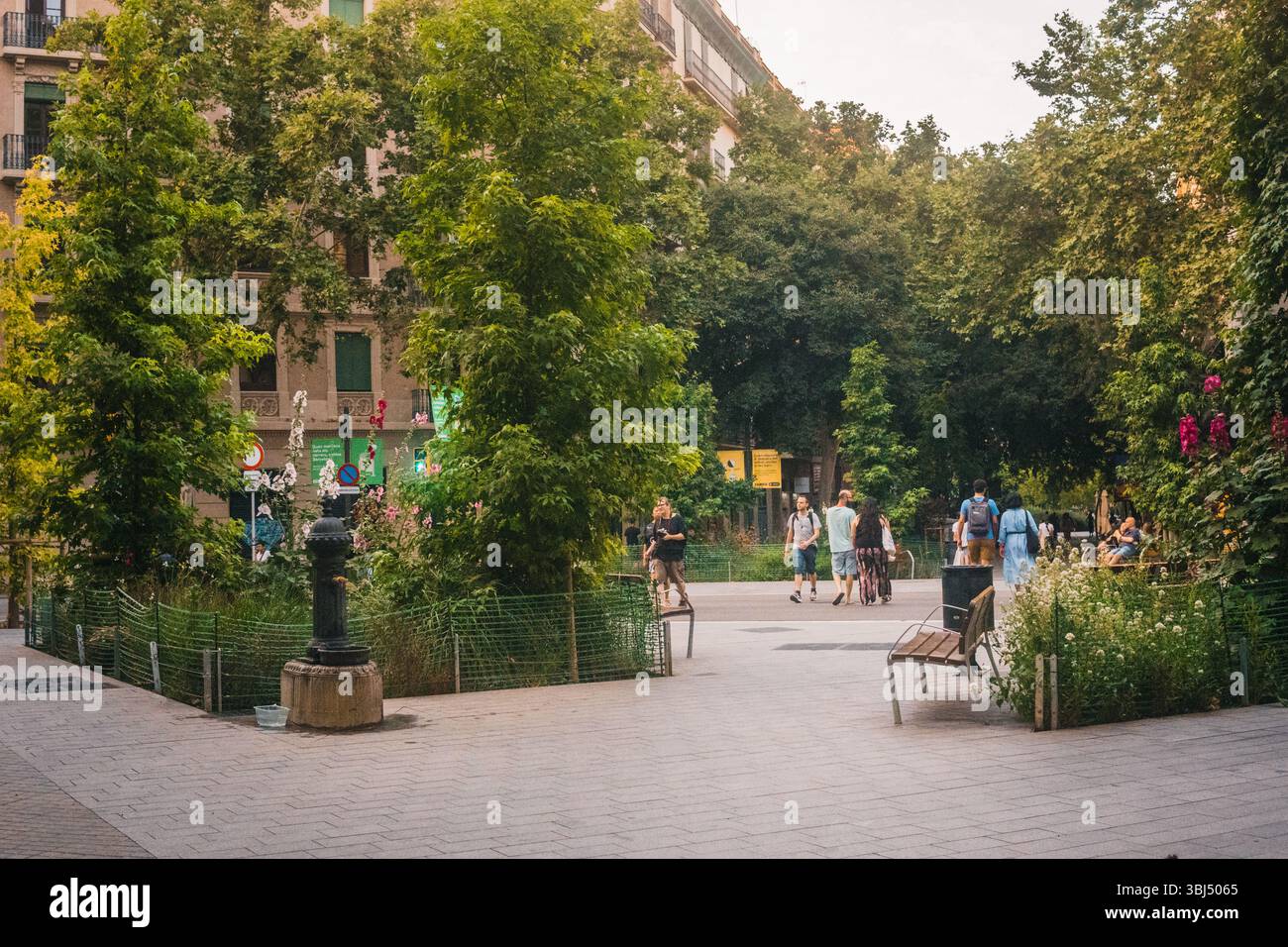 Barcelona Sommerstraßen Stockfoto