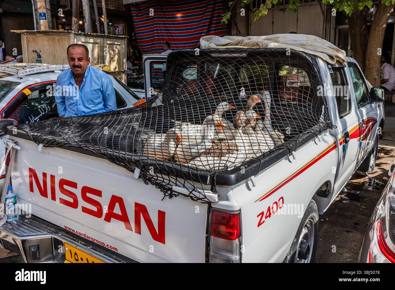 SULAYMANIYAH, IRAK - 7. OKTOBER 2022: Enten auf einem Pickup-Truck auf dem Naqib-Markt in Sulaymaniyah (Slemani), Region Kurdistan im Irak Stockfoto
