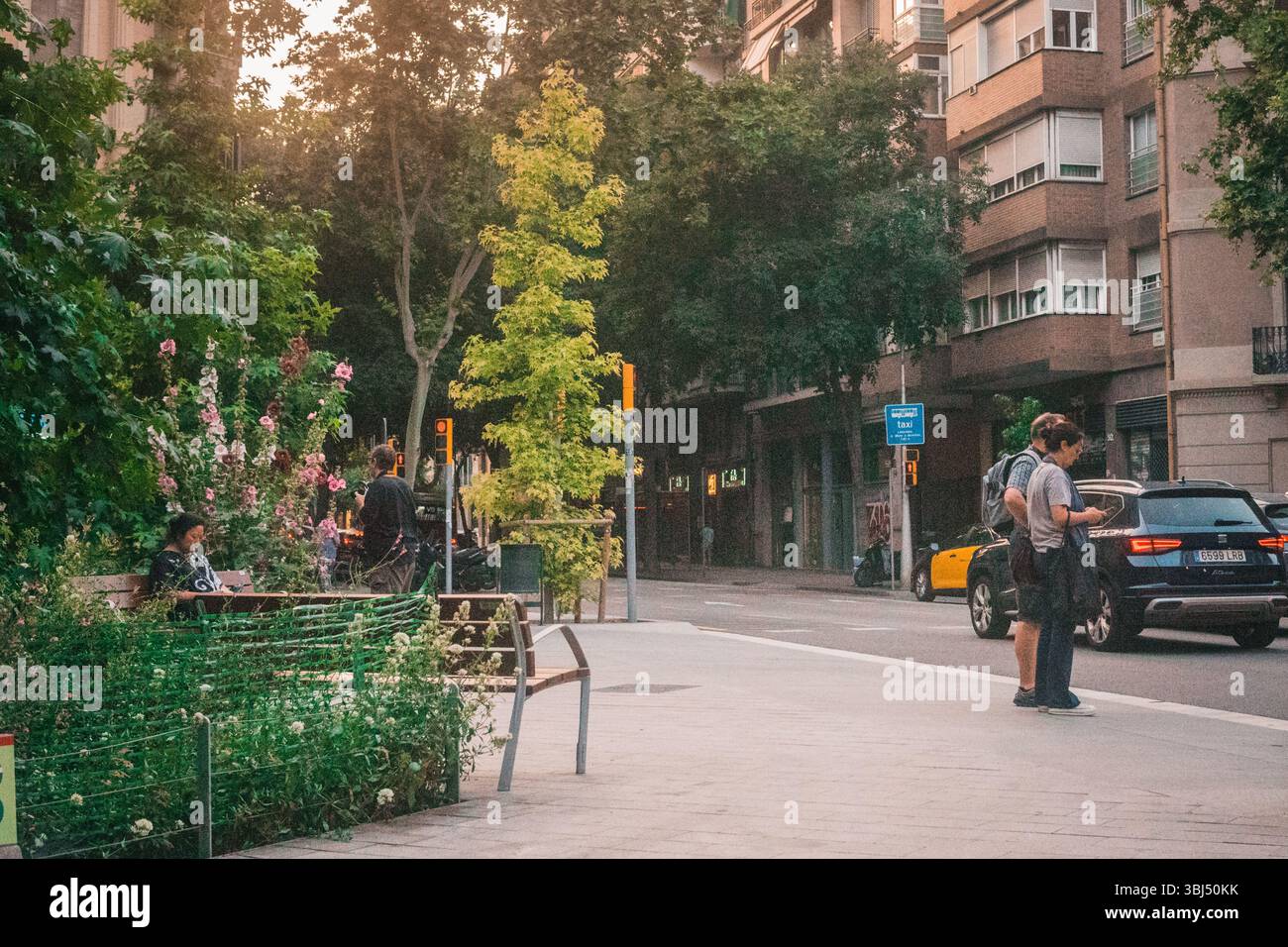 Barcelona Sommerstraßen Stockfoto