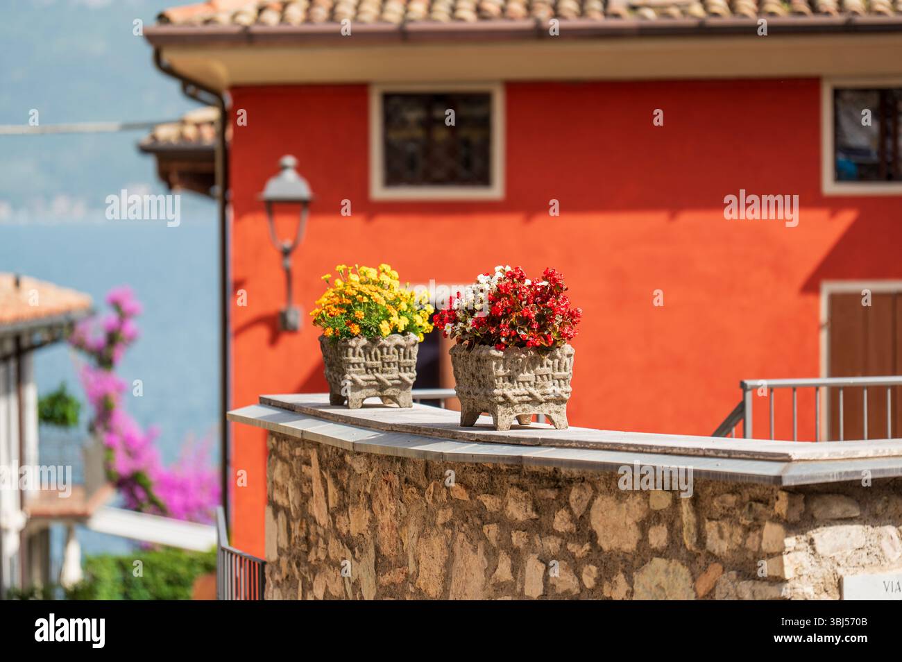 Topfpflanzen ruhen auf einer kleinen Wand vor einem italienischen Haus und verleihen den warmen Tönen der traditionellen Fassade natürliche Farben und Charme. Stockfoto