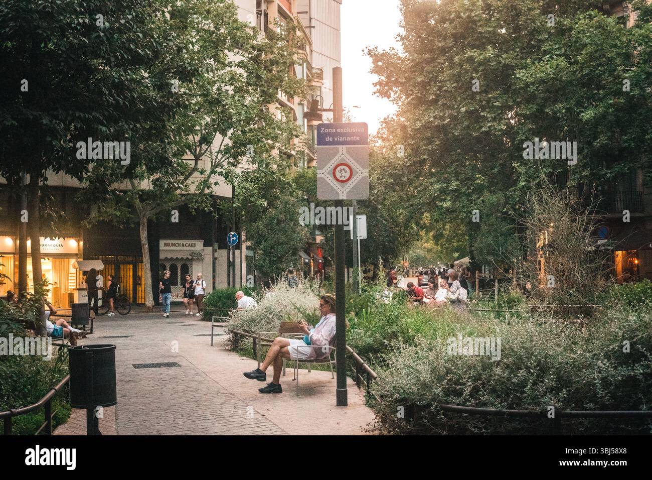 Barcelona Sommerstraßen Stockfoto