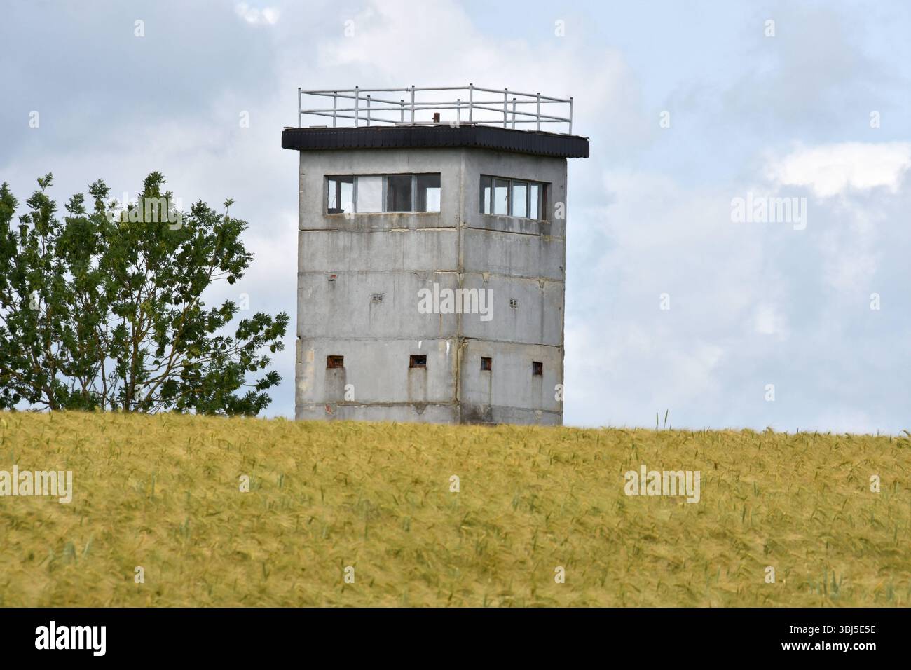 09.06.2025 Grenzturm Deutschland/Sachsen Anhalt/Altmark/Altmarkkreis Salzwedel/Dahrendorf/ehemalige innerdeutsche Grenze/Wachturm/Grenzturm/im Vordergrund ein Getreidefeld *** 09 06 2025 Grenzturm Deutschland Sachsen Anhalt Altmark Altmarkkreis Salzwedel Dahrendorf ehemaliger innerdeutscher Grenzwachturm Grenzturm im Vordergrund ein Getreidefeld Stockfoto