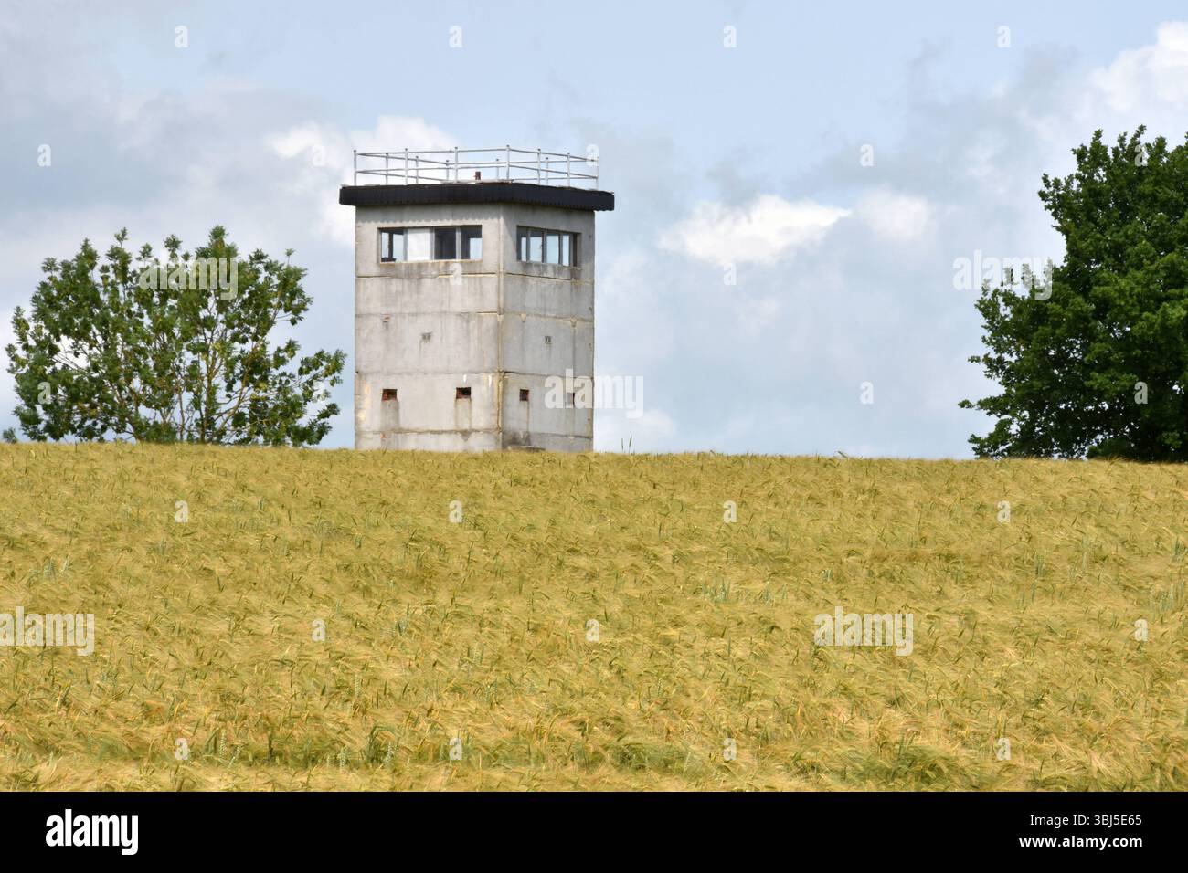 09.06.2025 Grenzturm Deutschland/Sachsen Anhalt/Altmark/Altmarkkreis Salzwedel/Dahrendorf/ehemalige innerdeutsche Grenze/Wachturm/Grenzturm/im Vordergrund ein Getreidefeld *** 09 06 2025 Grenzturm Deutschland Sachsen Anhalt Altmark Altmarkkreis Salzwedel Dahrendorf ehemaliger innerdeutscher Grenzwachturm Grenzturm im Vordergrund ein Getreidefeld Stockfoto