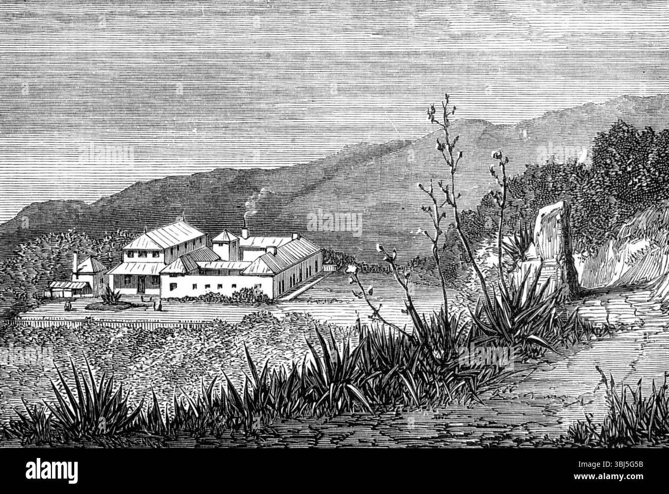 Mountain Hospital, Ascension Island, 1874. Kupferstich nach einer Skizze von Dr. Eames vom Royal Naval Hospital in Haslar. "Diese kleine Insel, etwa acht Grad südlich des Äquators im Südatlantik, fast 1500 Meilen von der afrikanischen Küste entfernt und weit von der brasilianischen Küste entfernt, kann für die Aufnahme und Heilung von Invaliden von Sir Garnet Wolseleys Truppen im Ashantee-Feldzug [d. h. Dritter Anglo-Ashanti-Krieg] genutzt werden. Es handelt sich um eine britische Militärstation, die 1815 gegründet wurde, als Napoleon in St. Helena gefangen gehalten wurde, die etwa 700 Meilen südöstlich von Ascension liegt. Die Insel ist Stockfoto