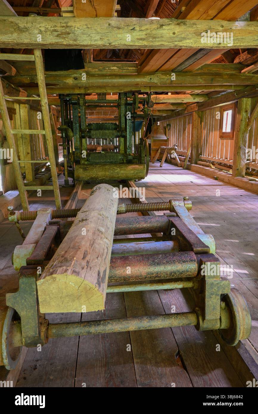 Holzstamm, der auf einem Fördersystem in einem alten Sägewerk transportiert wird, zeigt die traditionelle Holzindustrie. Stockfoto