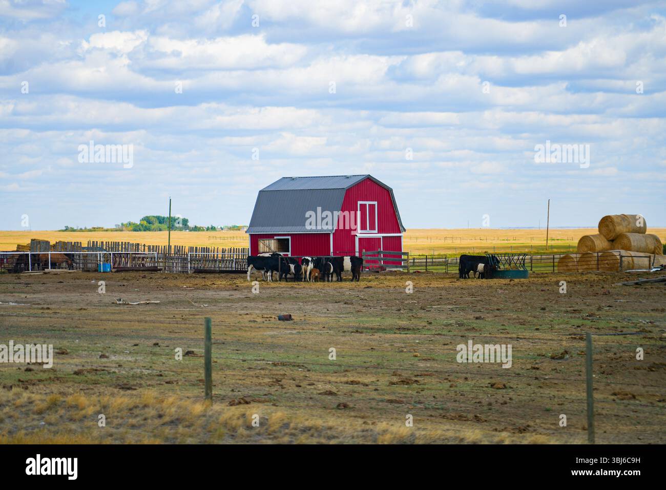Alte rote Scheune in der kanadischen Prärie von Alberta, Kanada Stockfoto