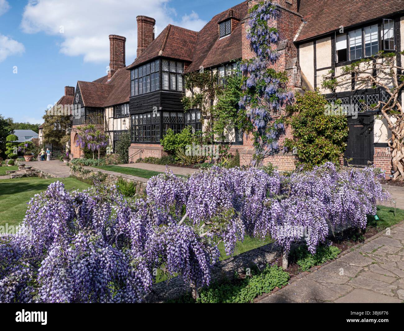 RHS Wisley Historic Laboratory House & Office of the Royal Horticultural Society stellt Wisley mit Glyzinien in voller Blüte im Vordergrund. Surrey Großbritannien Stockfoto