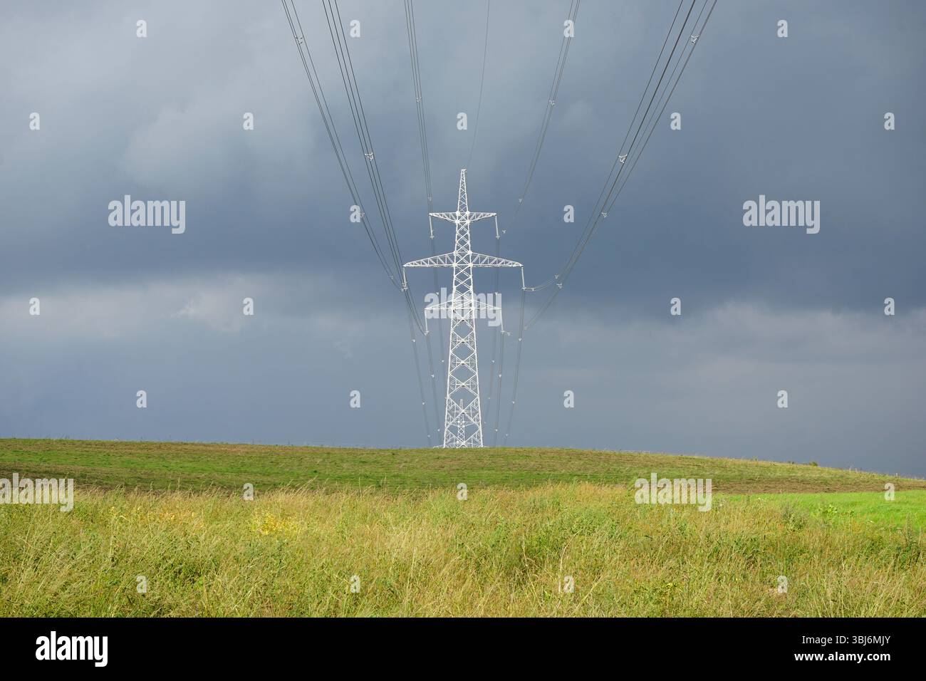 330 kV Freileitung, Litauen Stockfoto