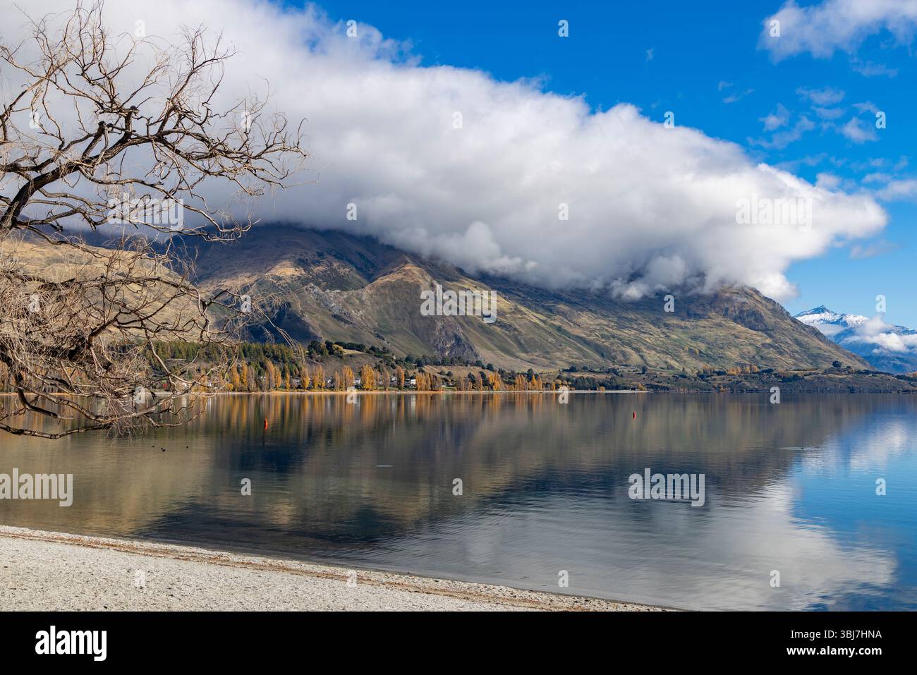 Wanaka, Otago, Südinsel, Neuseeland, Blick auf den Lake Wanaka vom Strand Wanaka in Richtung Mount Aspiring Mountain Range Stockfoto