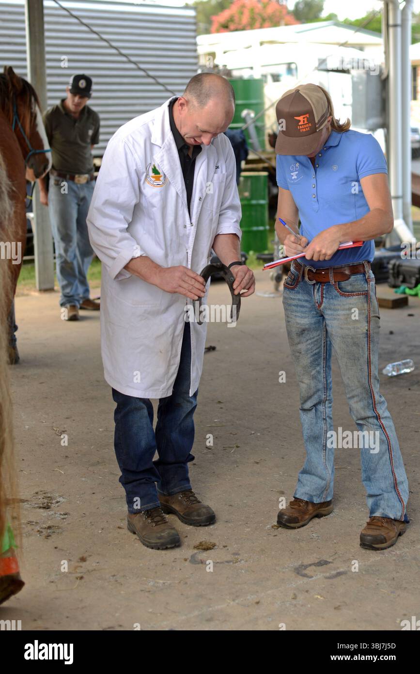 GATTON, AUSTRALIEN, 2. MAI 2025: Ein Richter und sein Assistent überprüfen die Passform eines neuen Hufeisens auf einem schweren Pferd beim Gatton Heavy Horse World Cup 2025. Stockfoto